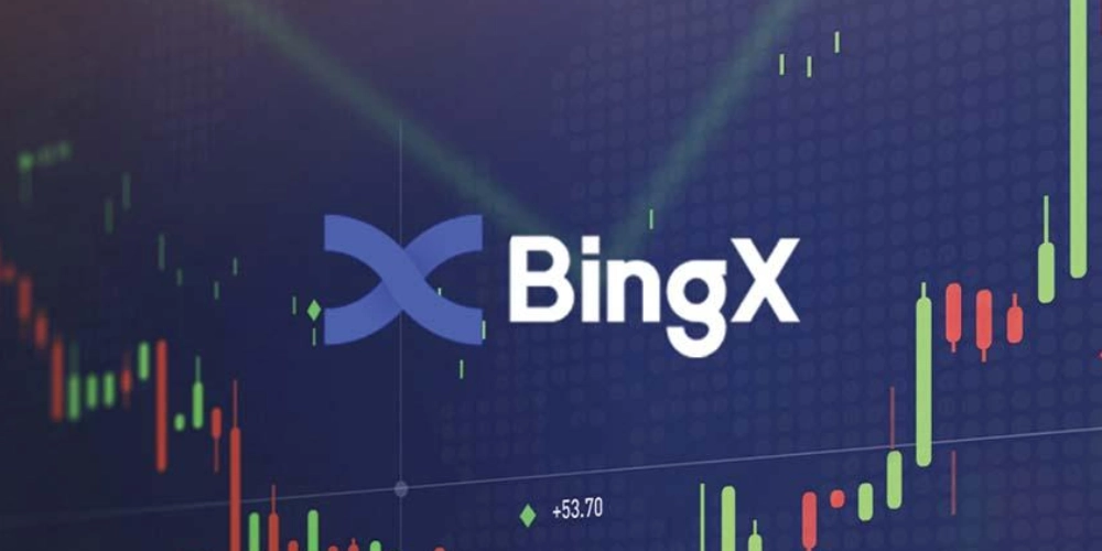نکات مهم در زمان انتقال از تراست ولت به BingX