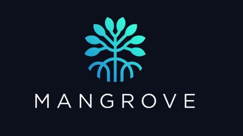 راه‌اندازی صرافی غیرمتمرکز Mangrove در شبکه آزمایشی پالیگان