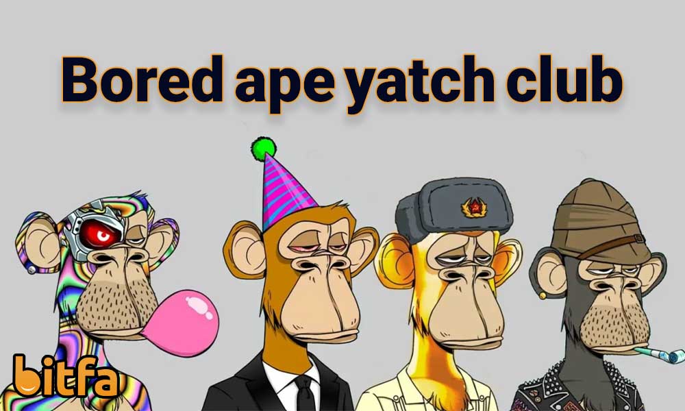 کالکشن bored ape yacht club چیست؟ آشنایی با NFT میمون‌های کسل