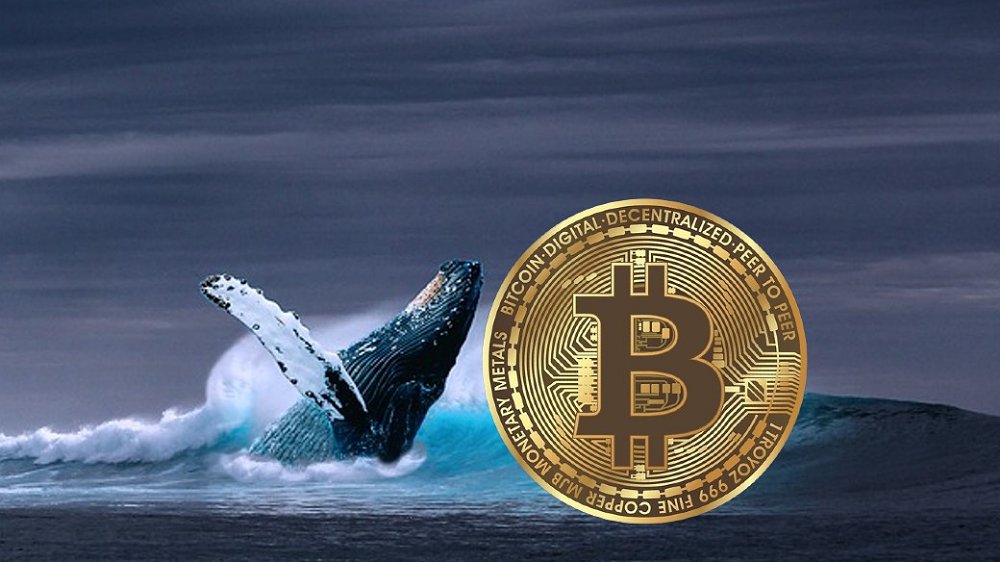 جابه‌جایی ۳۱ هزار بیت کوین توسط یک نهنگ
