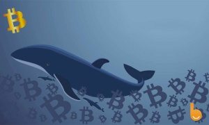 افزایش فروش نهنگ‌های بیت کوین؛ احتمال رسیدن قیمت بیت کوین به زیر 40 هزار دلار