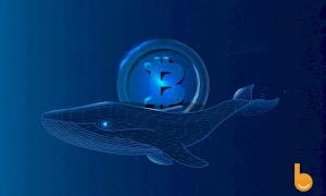 تعیین احساسات بازار توسط نهنگ‌های بیت کوین